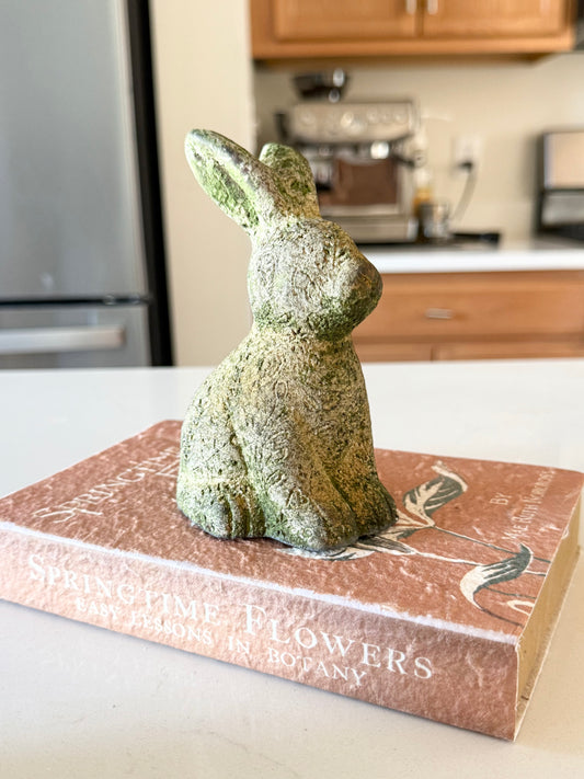 Tilly Rabbit Sitting