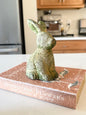 Tilly Rabbit Sitting