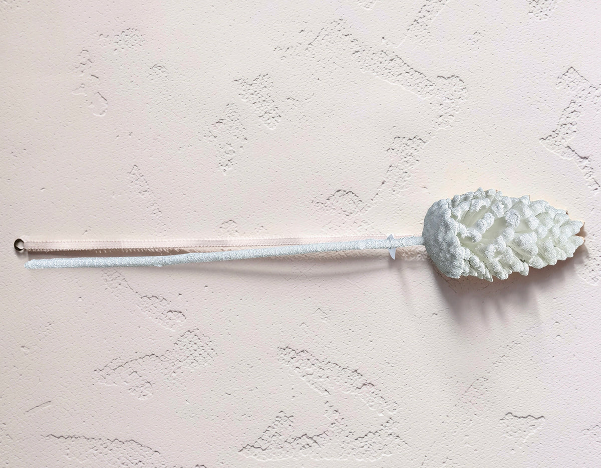 White Pinecone