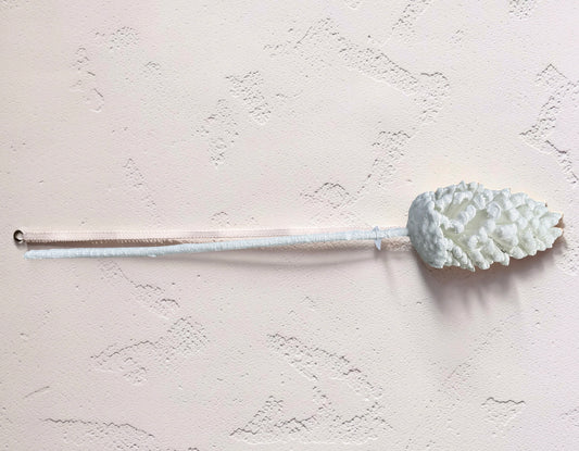 White Pinecone