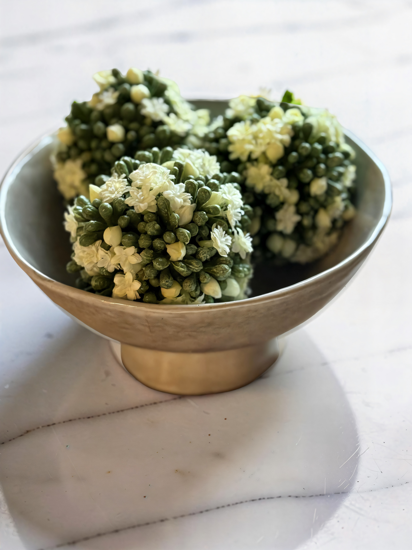 White Kalanchoe Ball