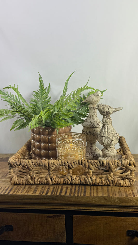 Fern Bundle