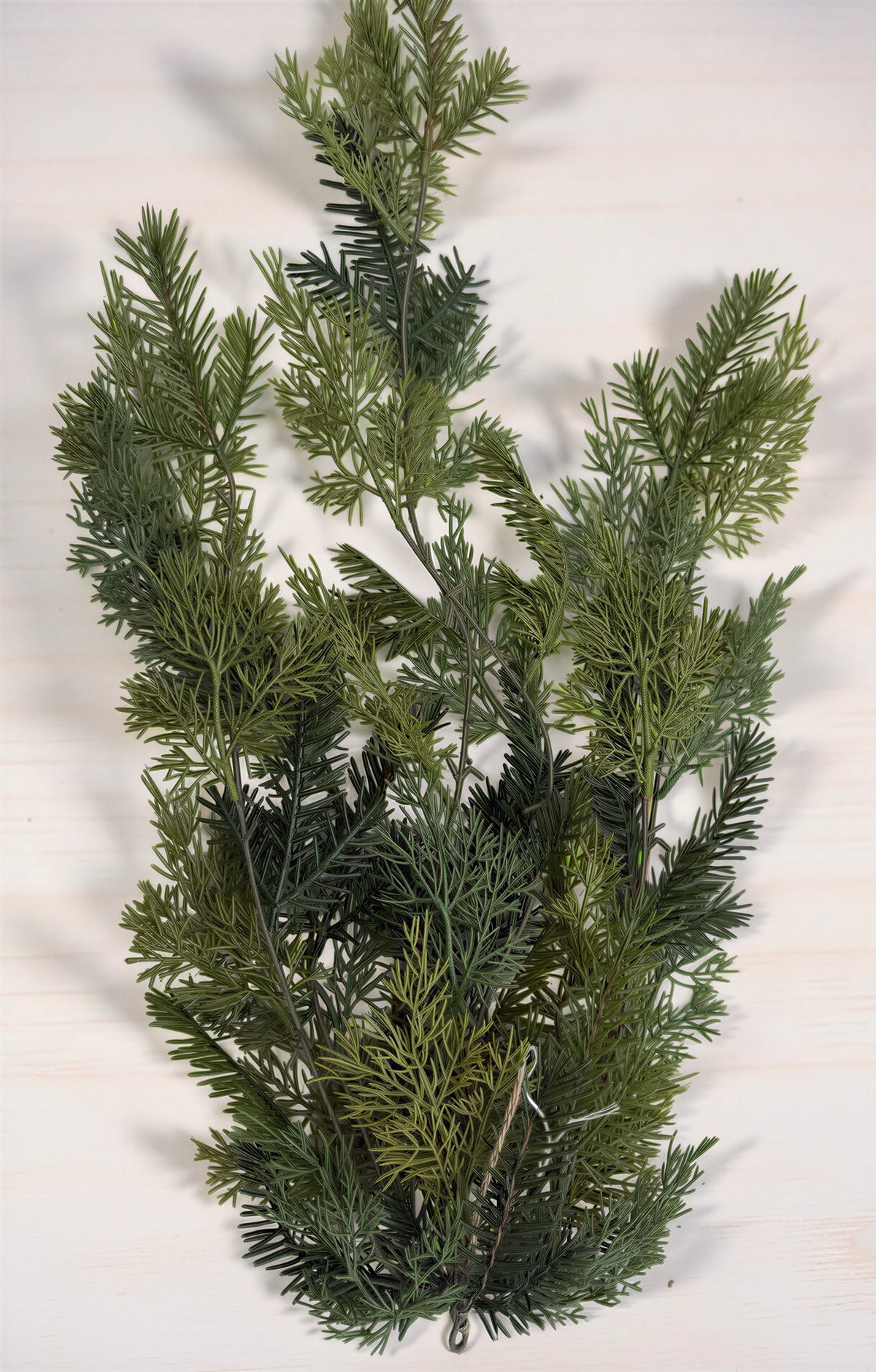 Hanging Pine