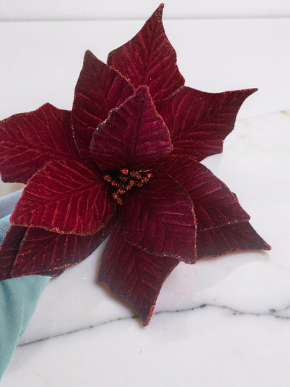 Red Poinsettia Stem