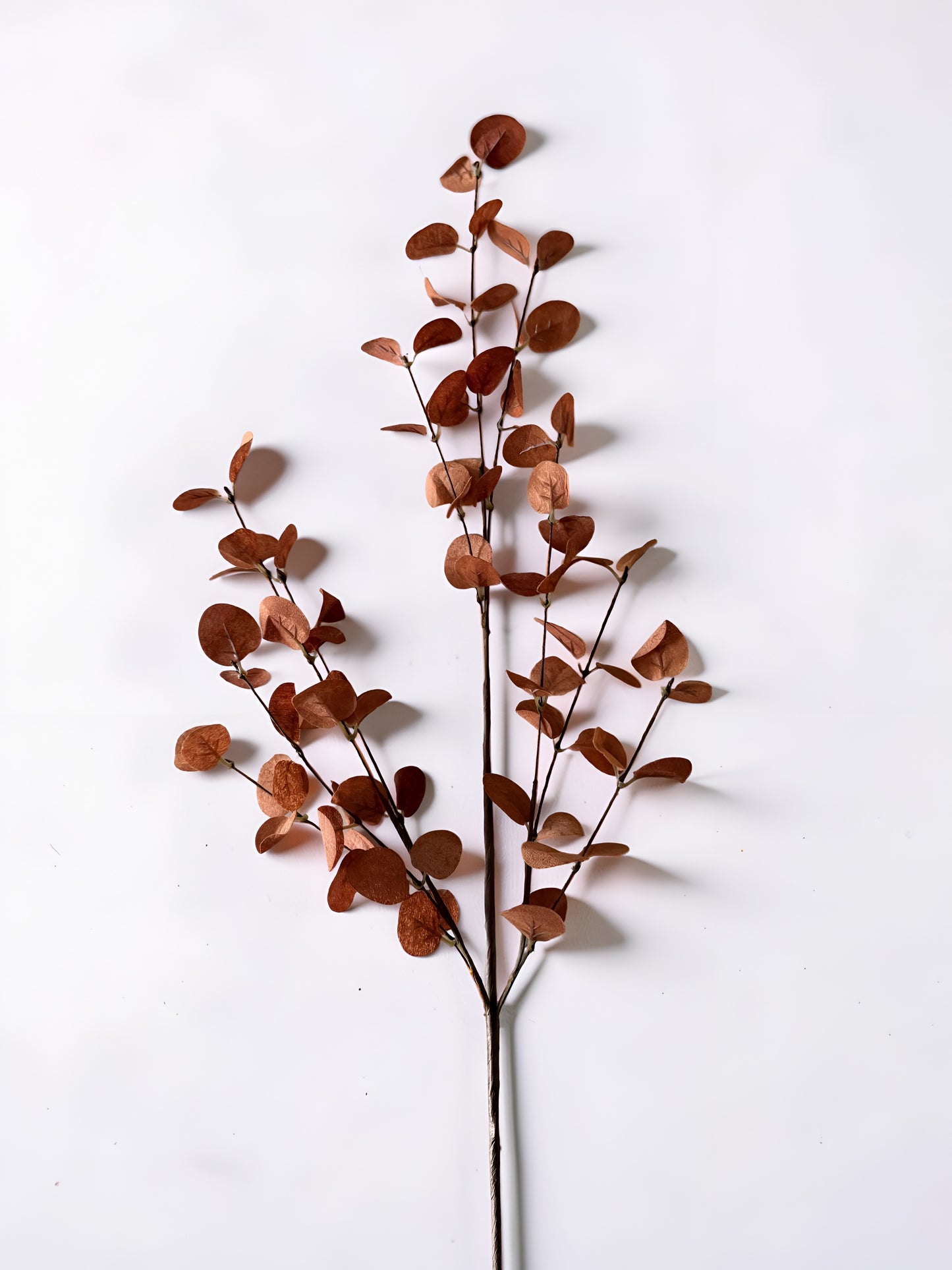 Penny Leaf Stem Red