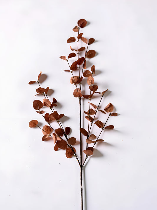 Penny Leaf Stem Red