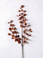 Penny Leaf Stem Red