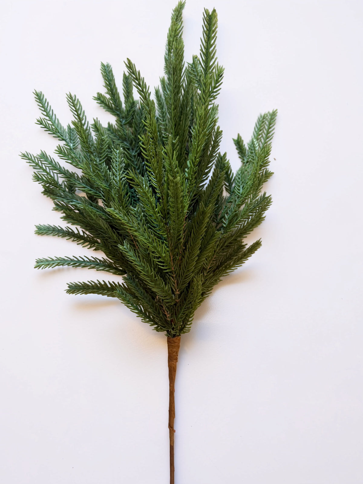 Real Touch Norfolk Pine Stem