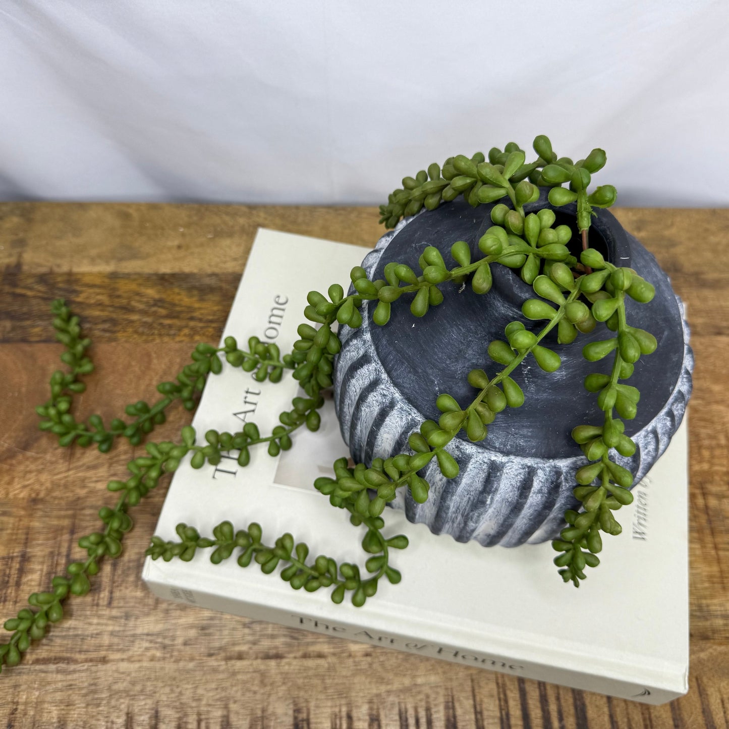Hanging Succulent