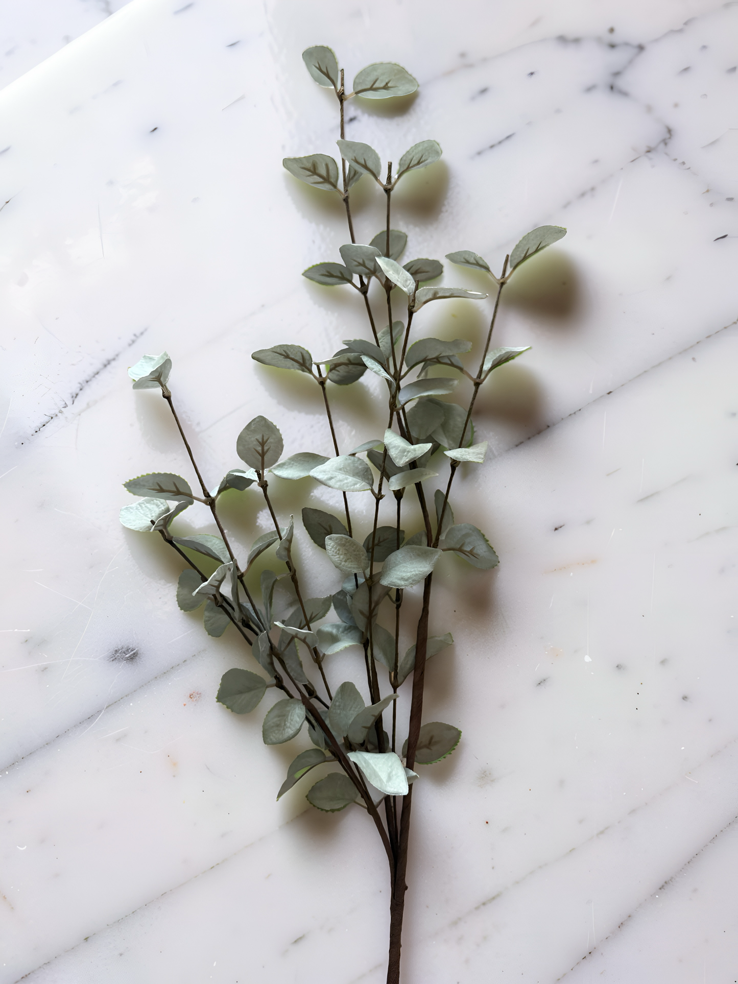 Light Green Eucalyptus Stem- 34”L