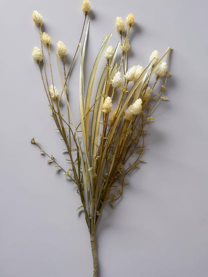 Flocked Thistle and Grass Stem