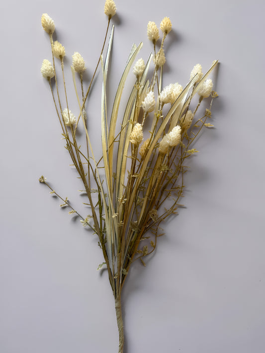 Flocked Thistle and Grass Stem