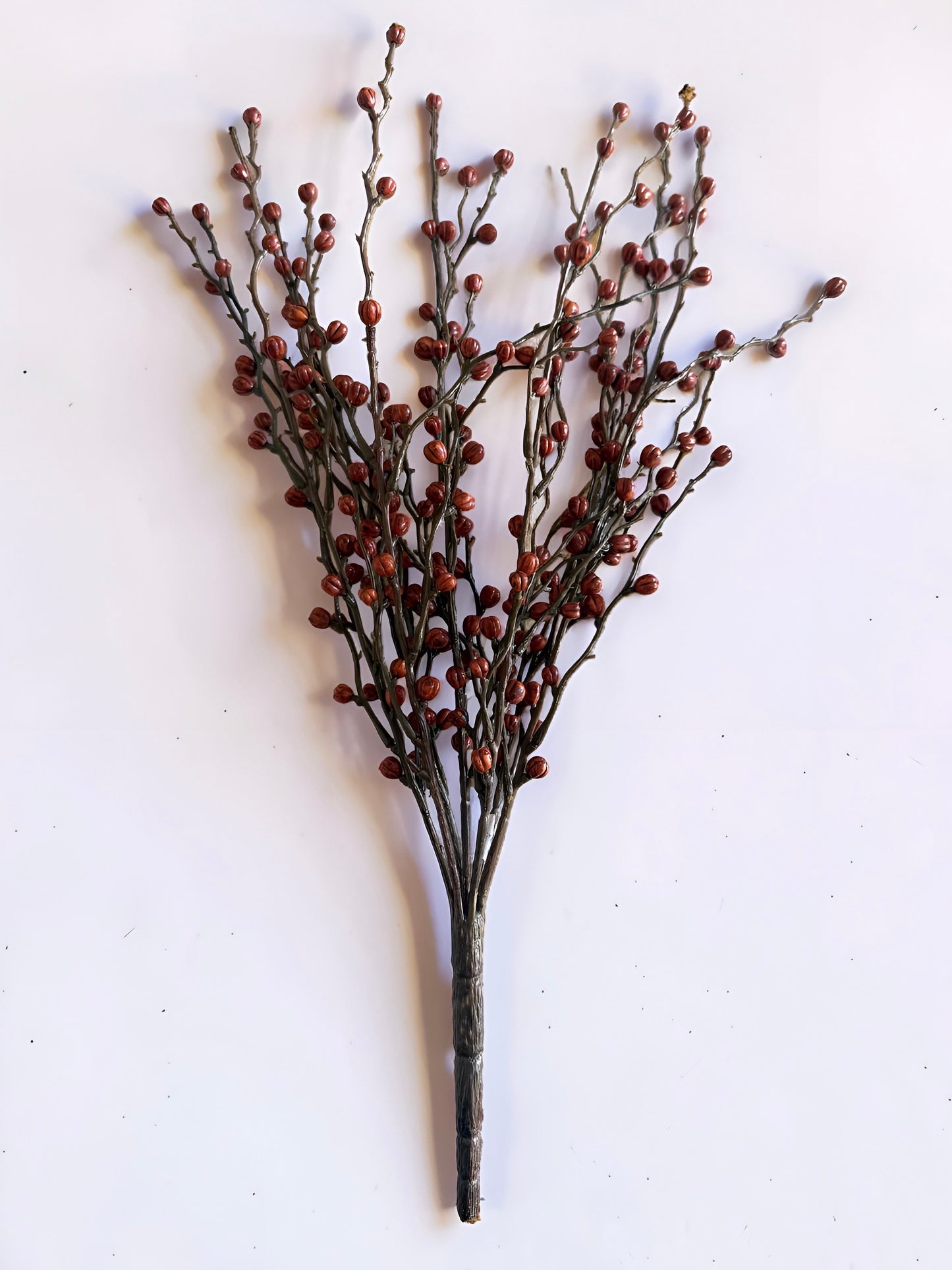 Mini Berries Stem Pumpkin