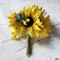 Sunflower Blooms Bundle