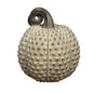 Beige textured Pumpkins