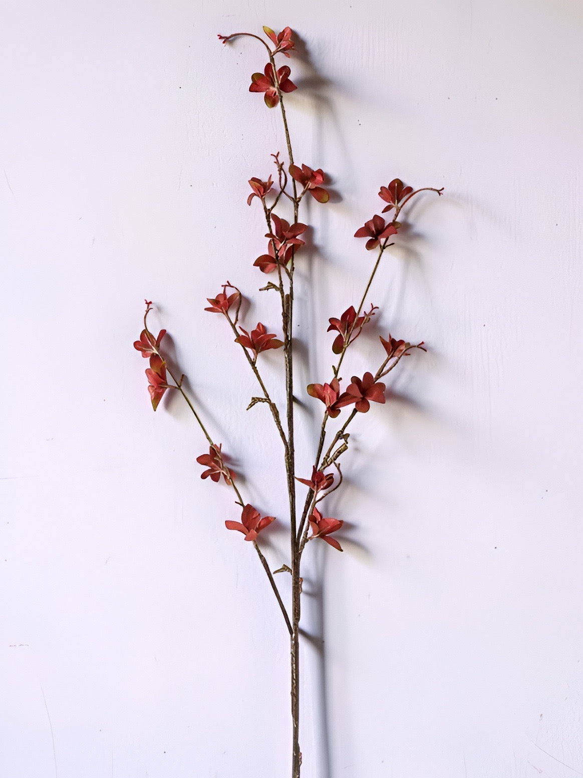 Burgundy, Brown Magnolia Blossom Spray