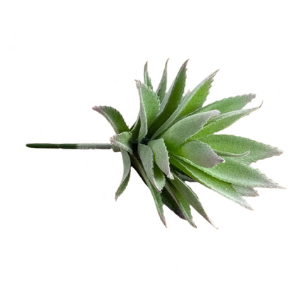 Green and Purple Aloe Succulent Pick