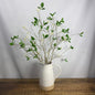 Crabapple Flowering Stem
