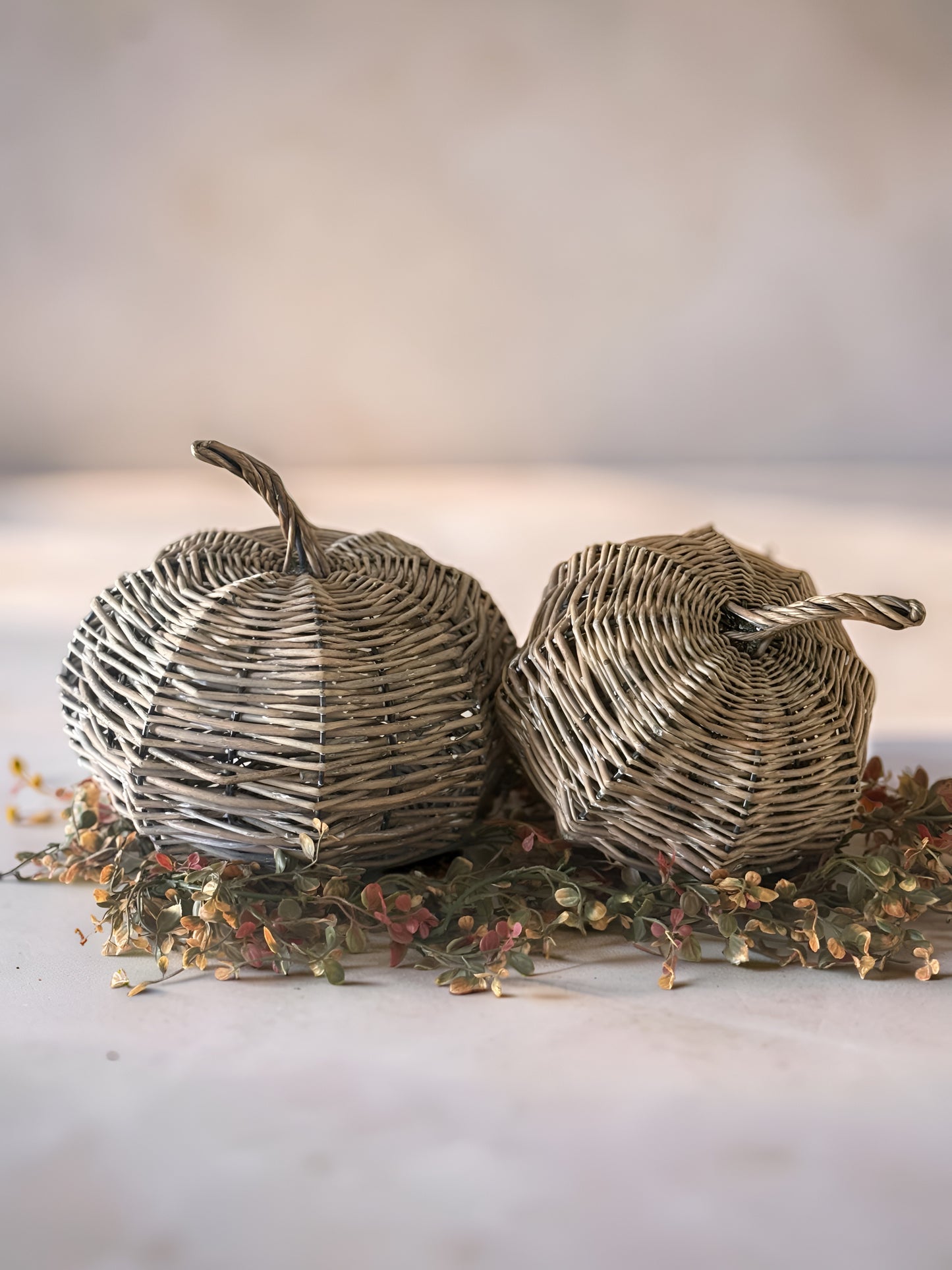 Fall Willow Pumpkin Bundle