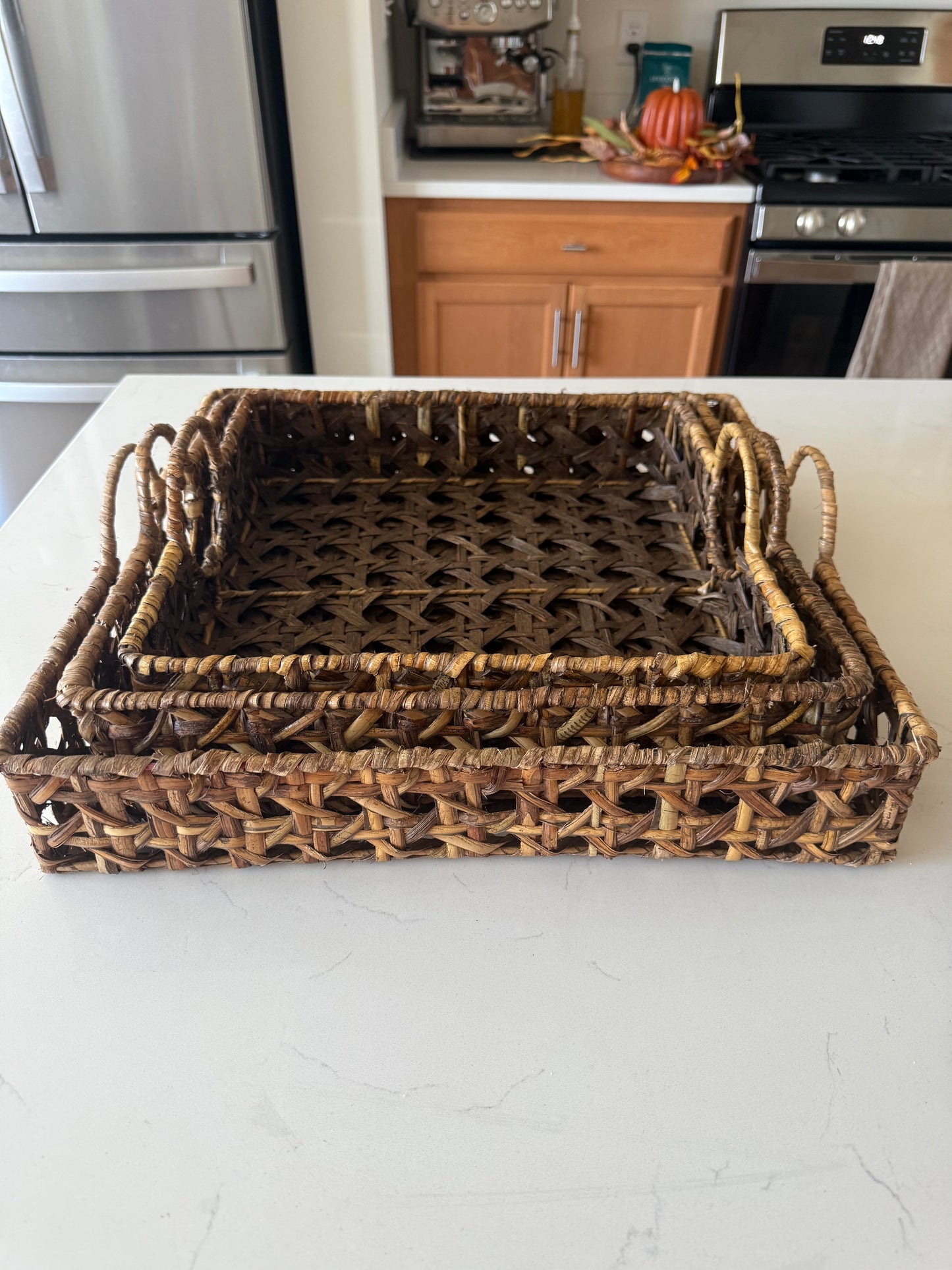 Woven Rattan Trays with Handle