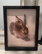 Rabbit Frame