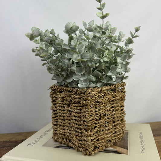 Powdered Eucalyptus in Woven Basket