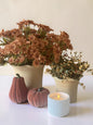 The Ruffled Harvest Bundle