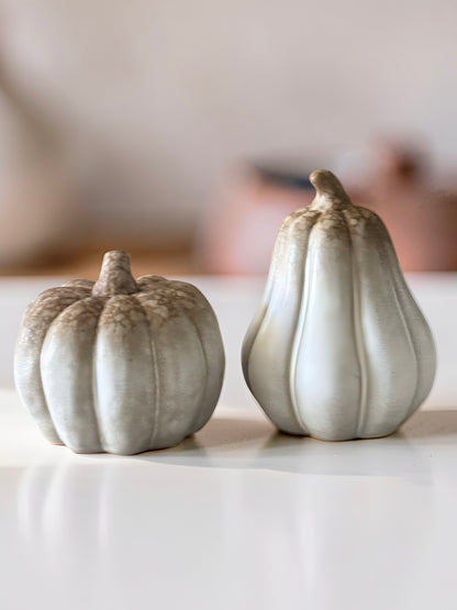 Brown Tone Pumpkin and Gourd