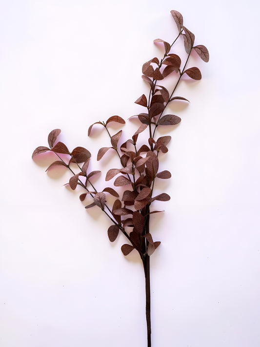 Brown Fall Stem