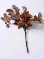 Orange Laurel Bush