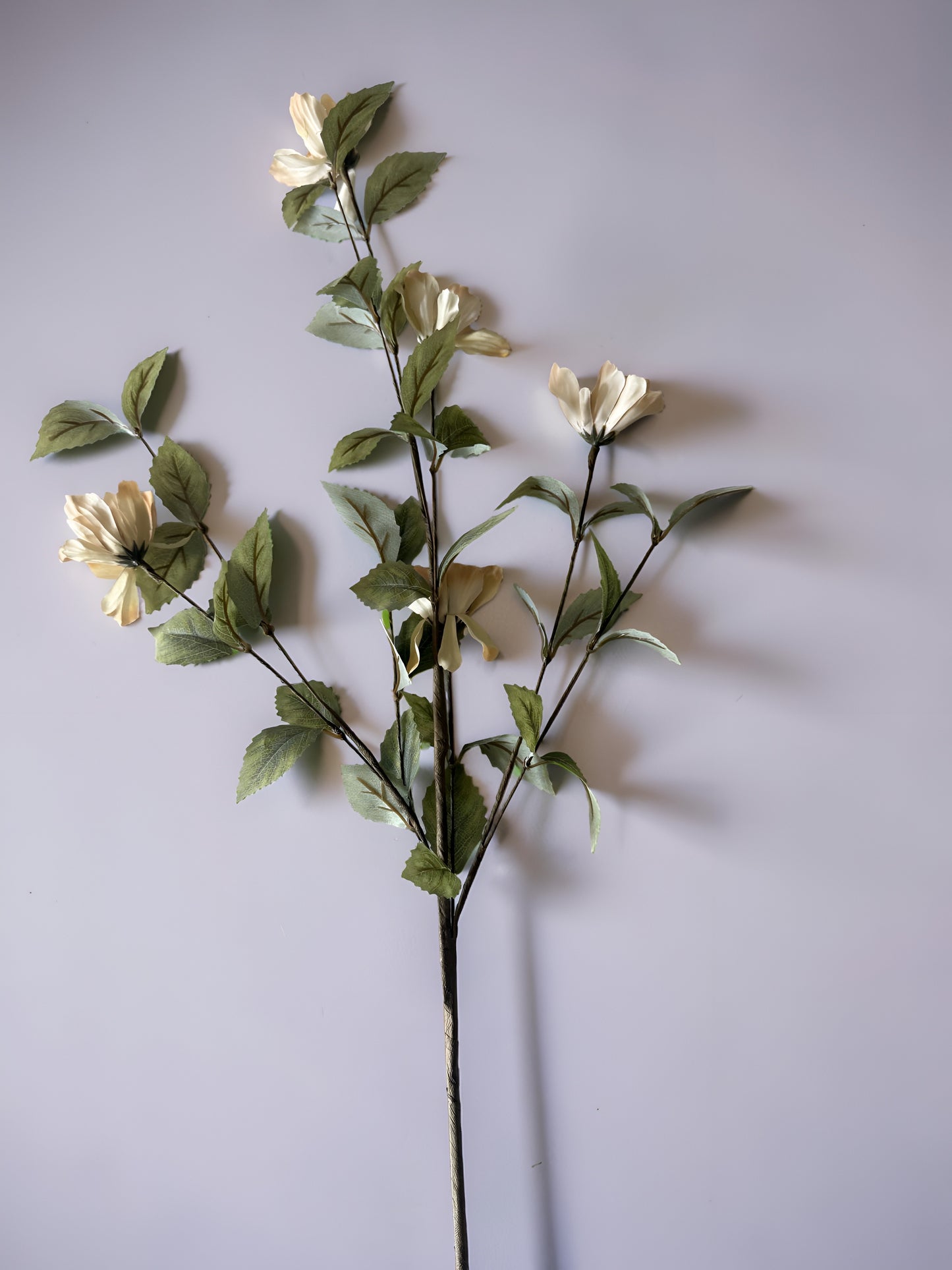 Fall Flower Stem