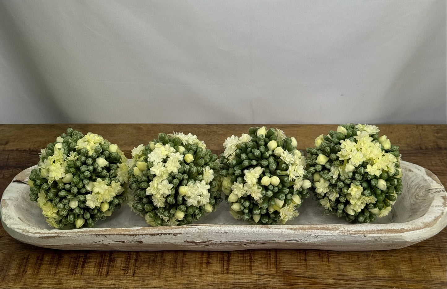 White Kalanchoe Ball