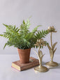 The Garden Glow Bundle