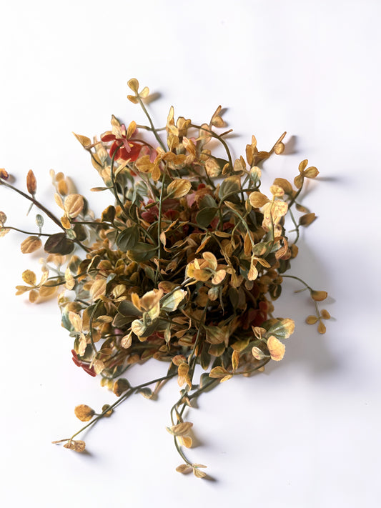 Red Pimpernel Half Sphere
