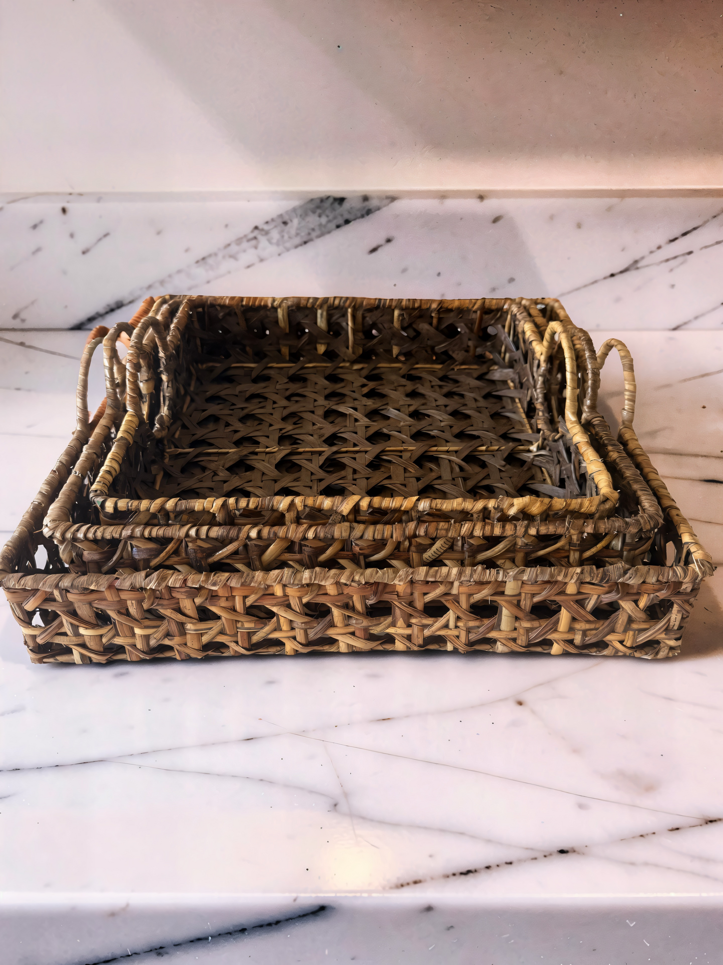 Woven Rattan Trays with Handle -