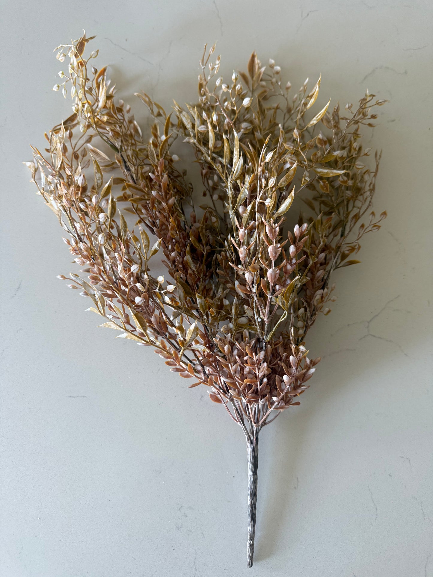 Ambermist Sage Bush