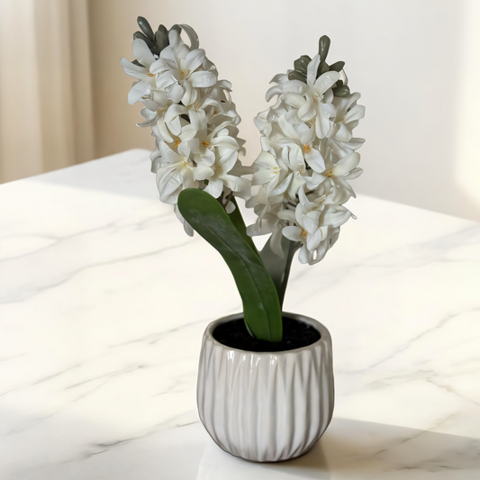 White Real Touch Hyacinth in White Ceramic Pot