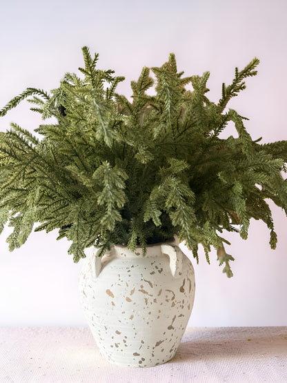 Greenwood Valley Bush
