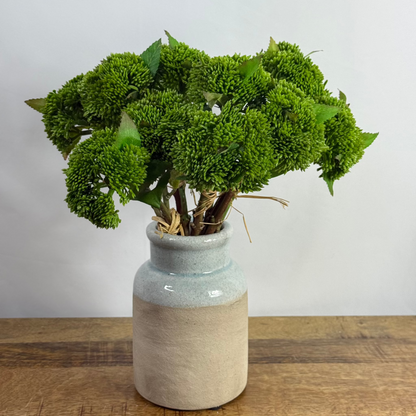 Real Touch Green Sedum Bundle (3 stems)