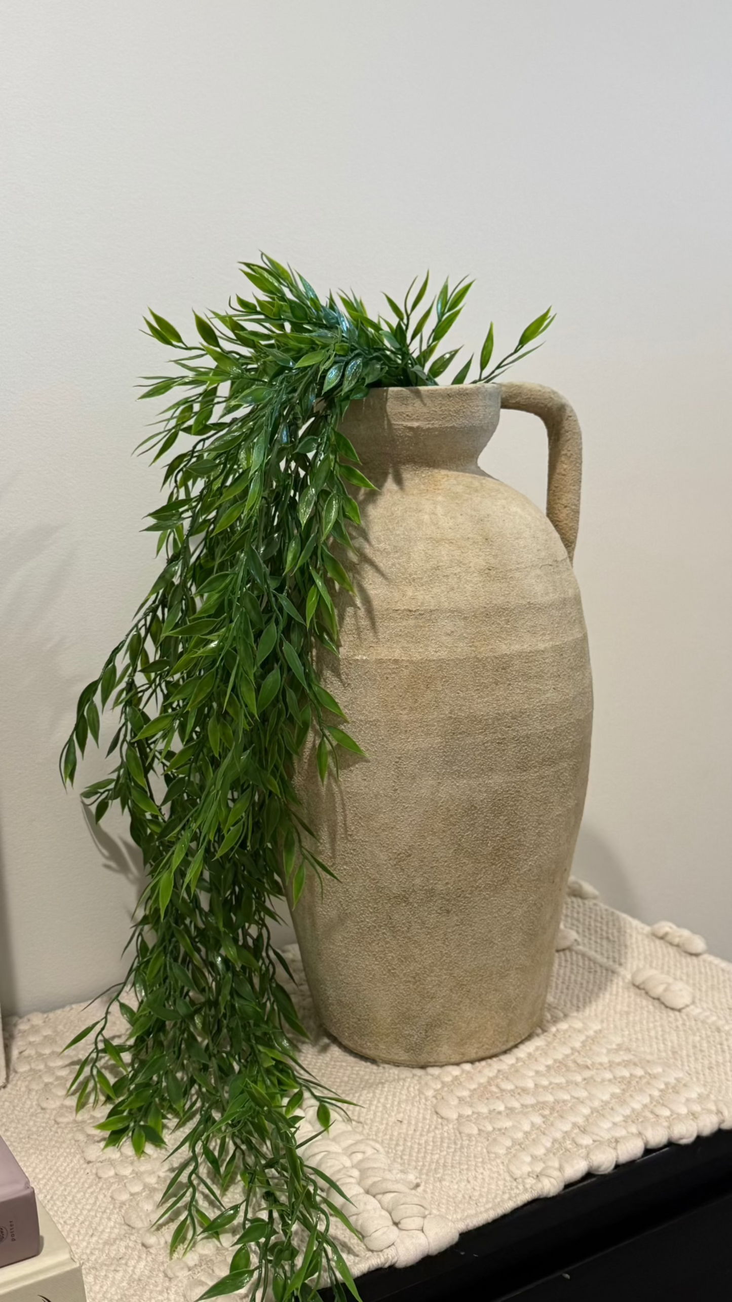 Hanging Plant
