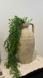 Hanging Plant