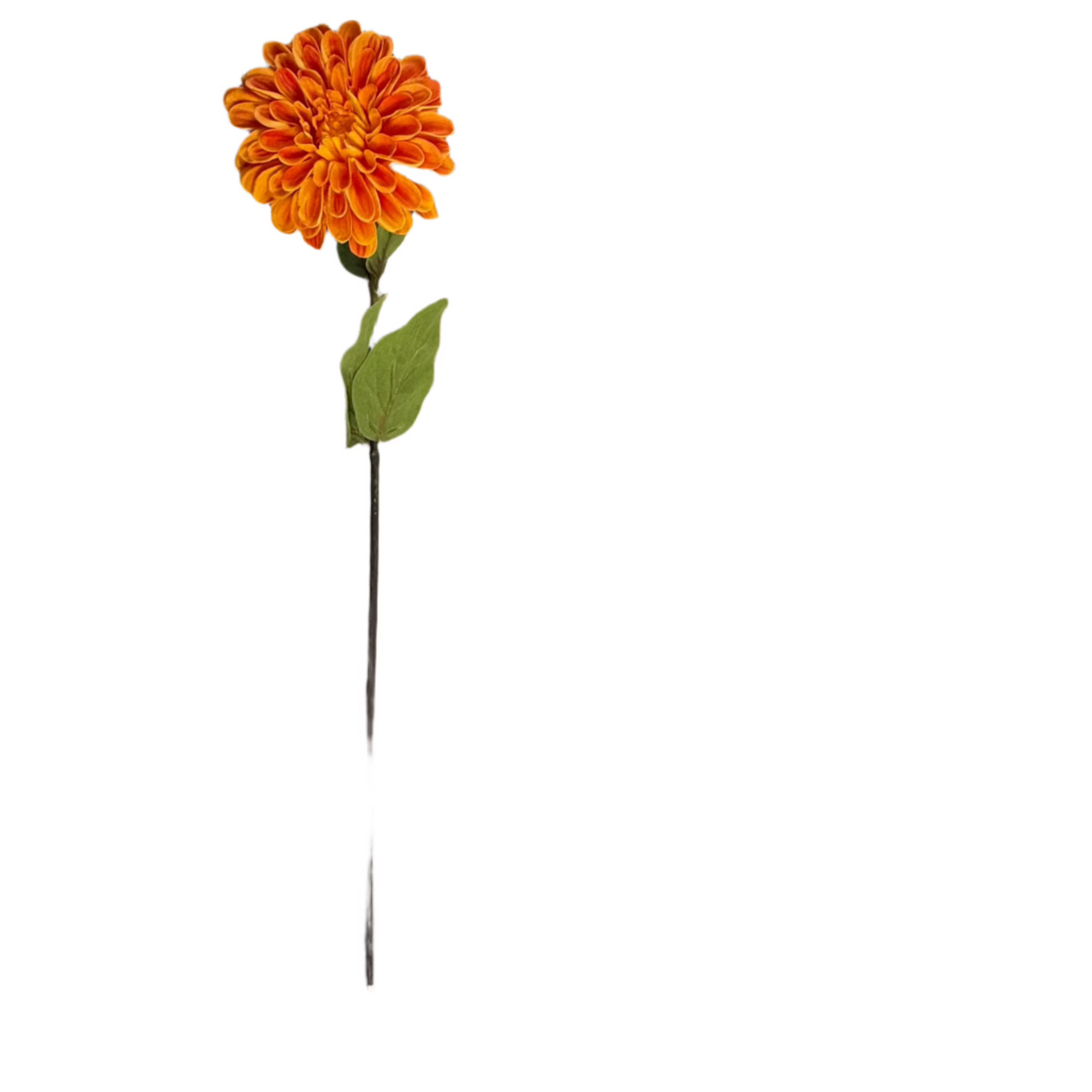 Real Touch Zinnia Bloom Stems - 24''