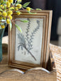 Vintage Gold Edge Photo Frame
