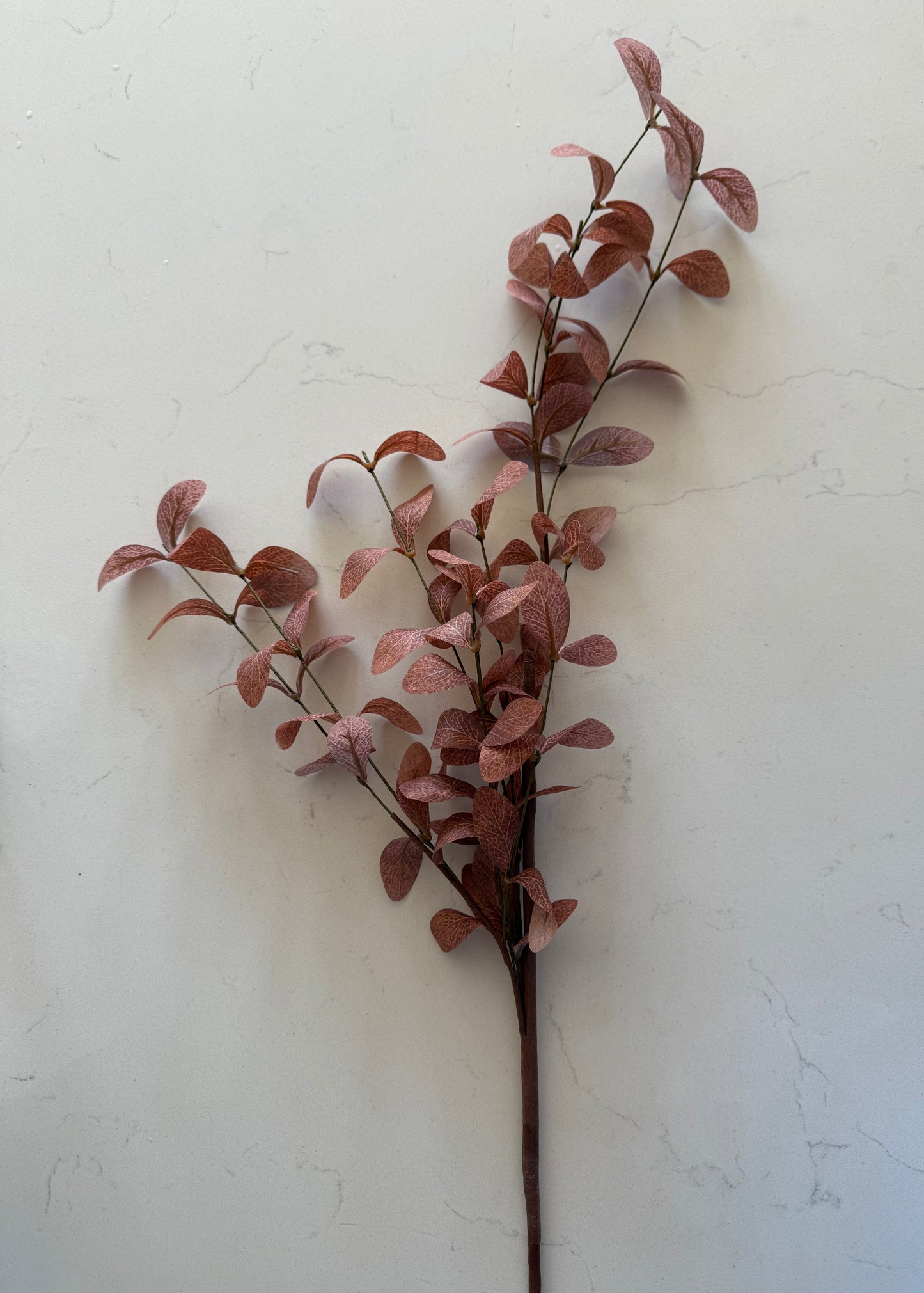 Brown Fall Stem