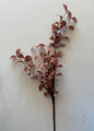 Brown Fall Stem