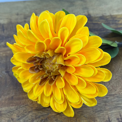 Real Touch Zinnia Bloom Stems - 24''