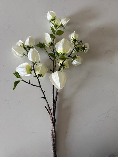 White Chinese Lantern Spray