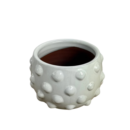 Terracotta Planter with Raised Dots