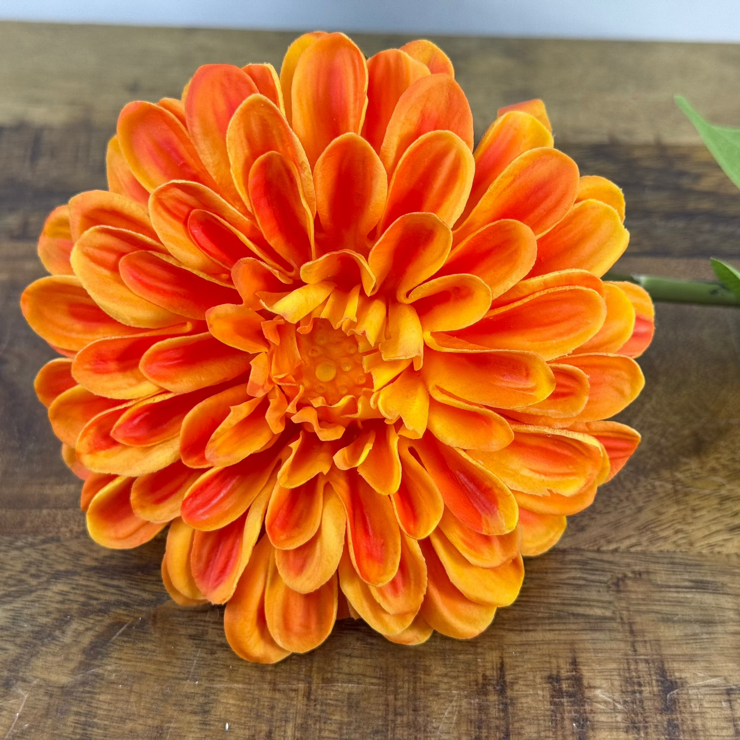 Real Touch Zinnia Bloom Stems - 24''