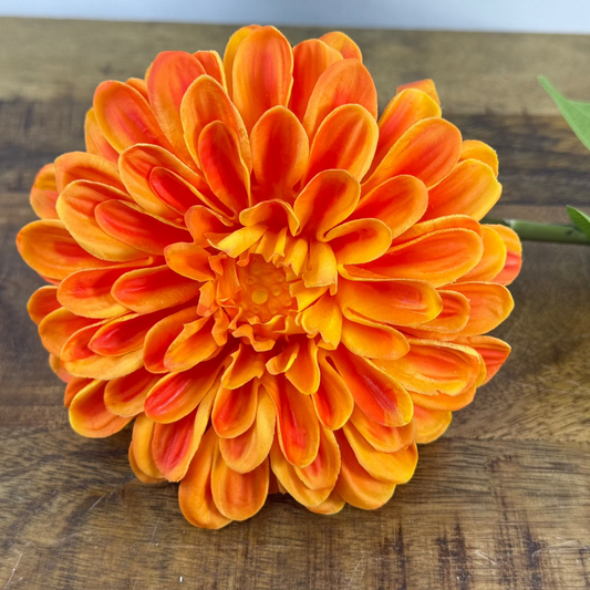 Real Touch Zinnia Bloom Stems - 24''